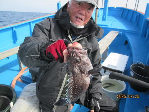 ソイ(クロソイ)