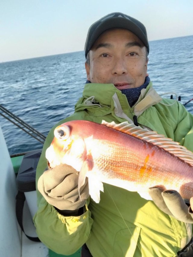 アマダイ(アカアマダイ)