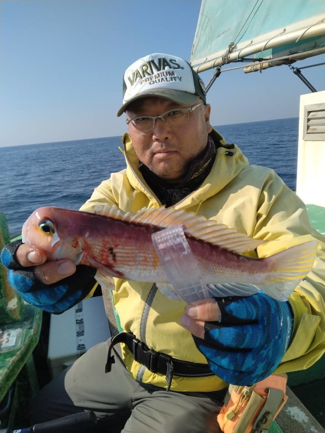 アマダイ(アカアマダイ)