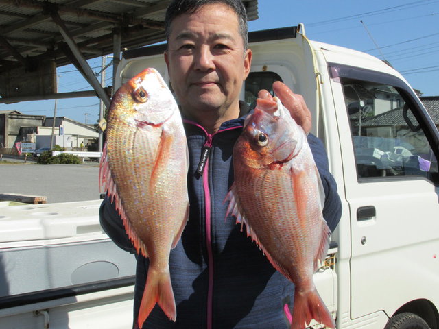 ハナダイ(チダイ)