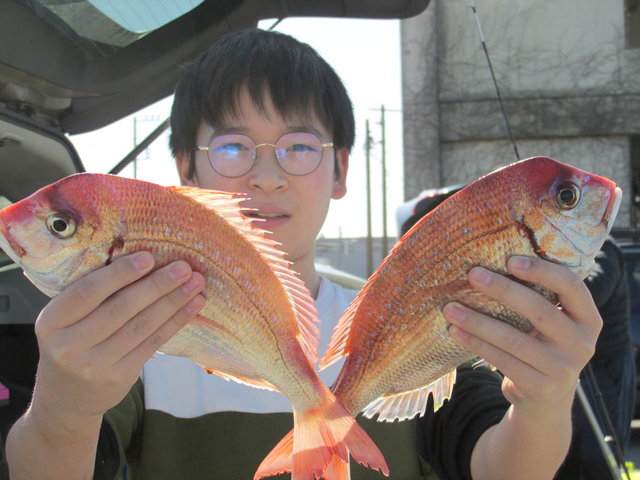 ハナダイ(チダイ)