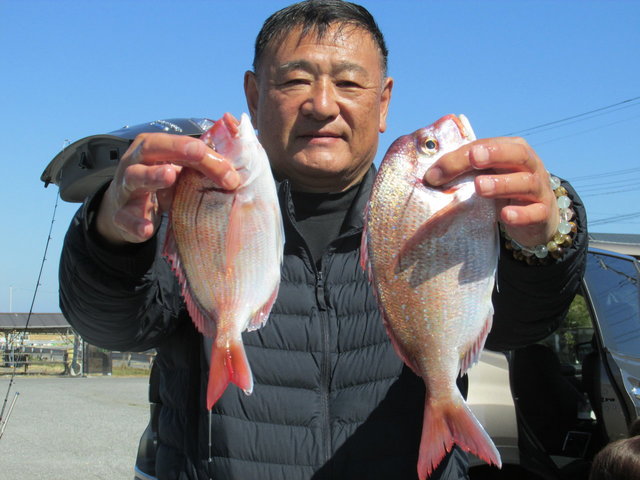 ハナダイ(チダイ)