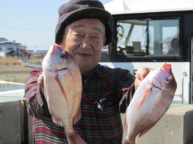 ハナダイ(チダイ)