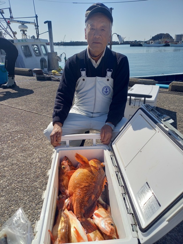 オキメバル(ウスメバル)