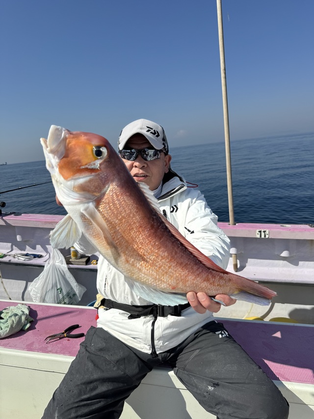 アマダイ(アカアマダイ)