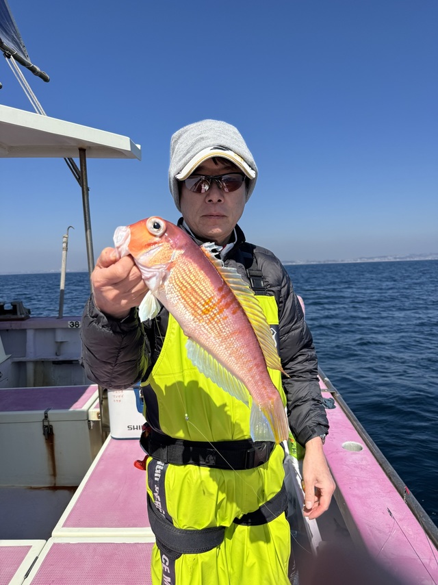 アマダイ(アカアマダイ)