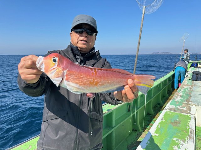 アマダイ(アカアマダイ)