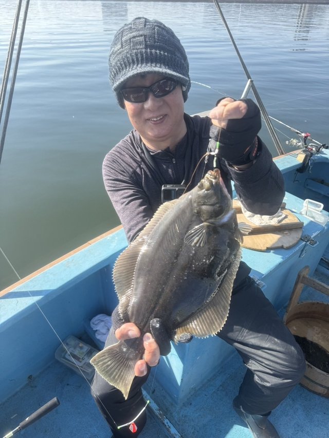 カレイ(マコガレイ)