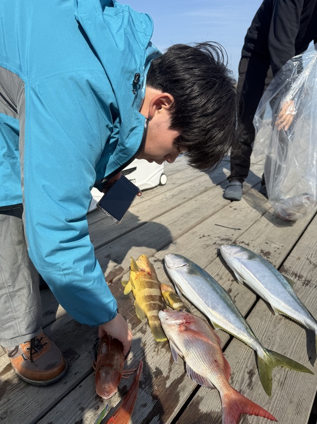 タイ(マダイ)・ハマチ(ブリ)・ホウボウ