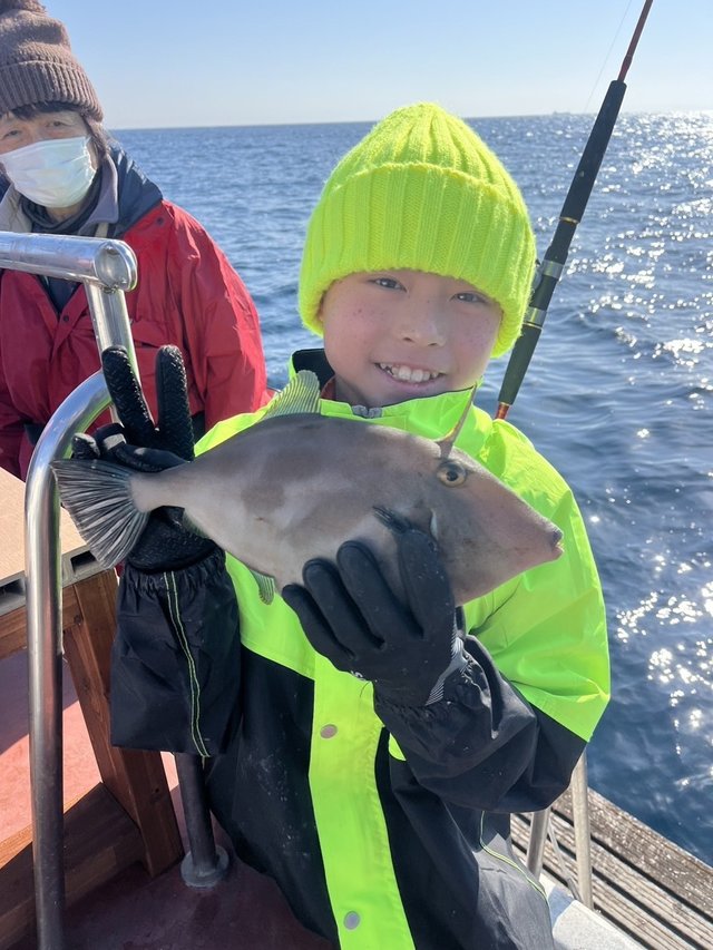 ウマズラハギ(ウマヅラハギ)