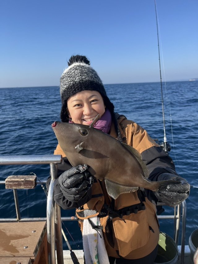 ウマズラハギ(ウマヅラハギ)