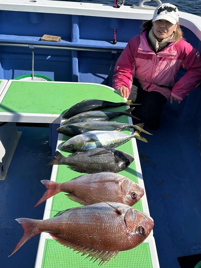 マダイ・クロダイ・イナダ(ブリ)