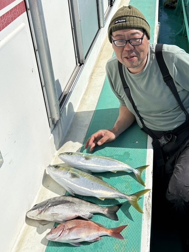 マダイ・クロダイ・イナダ(ブリ)