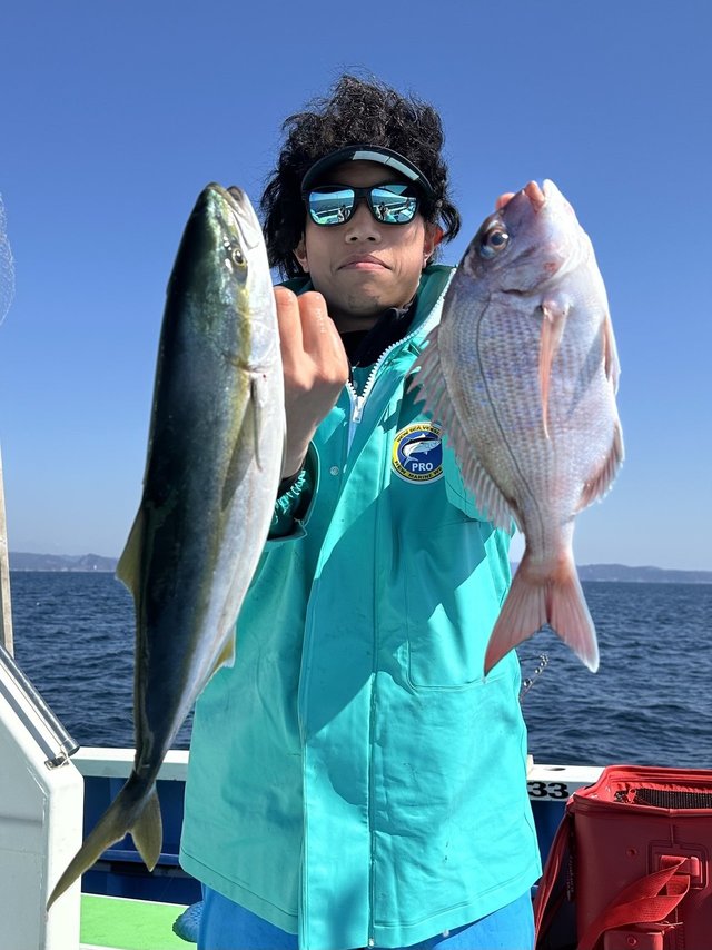 マダイ・イナダ(ブリ)