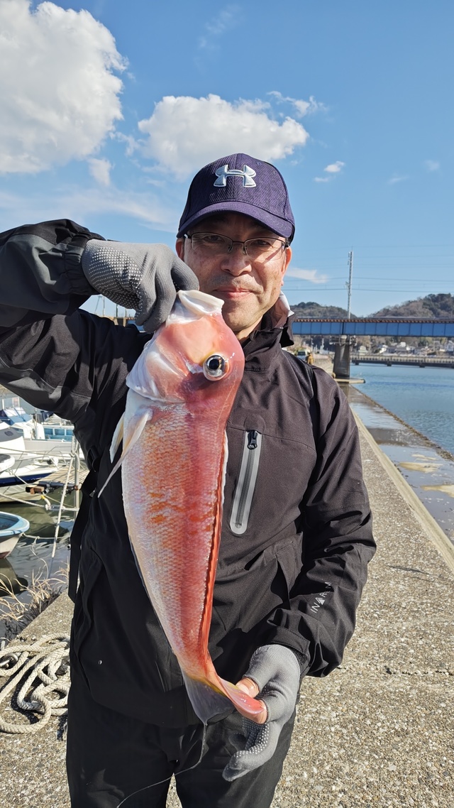 アマダイ(アカアマダイ)