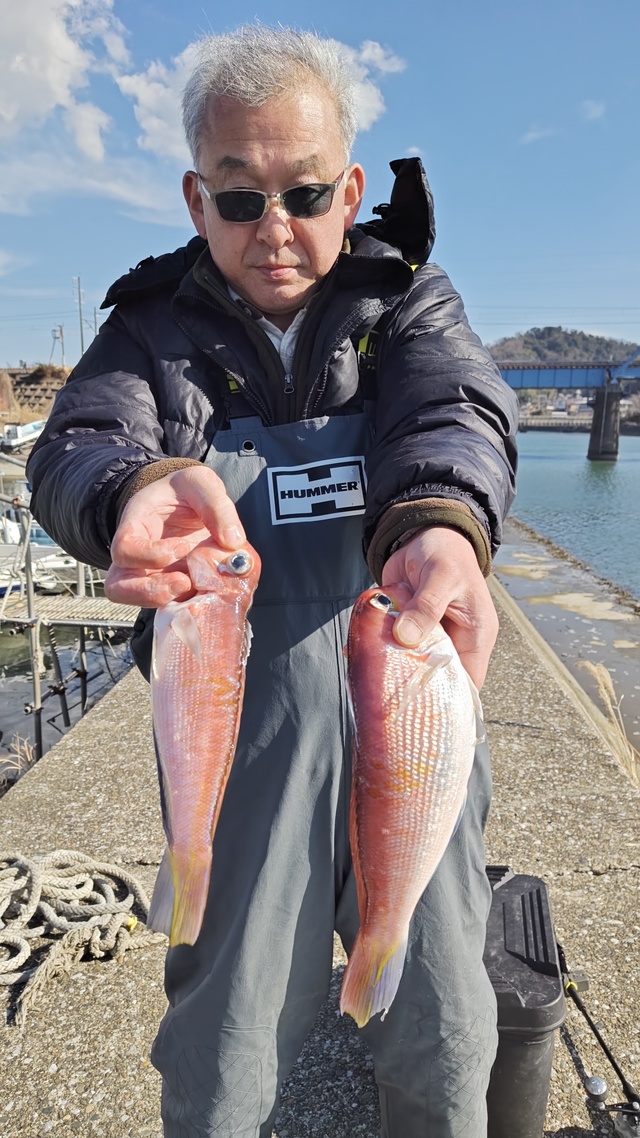 アマダイ(アカアマダイ)