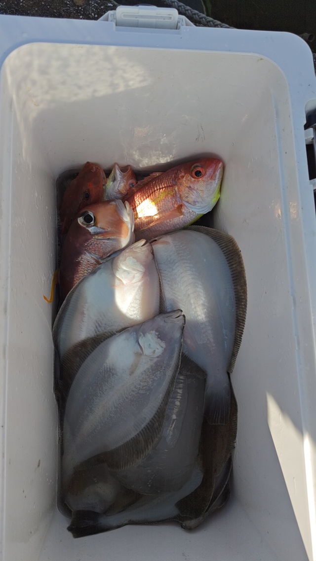 アマダイ(アカアマダイ)・イトヨリ(イトヨリダイ)・ムシガレイ