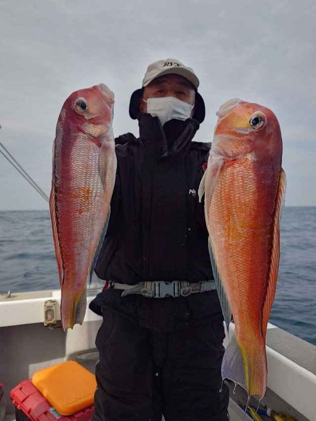 アマダイ(アカアマダイ)