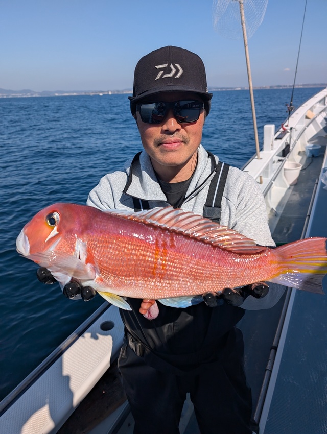 アマダイ(アカアマダイ)