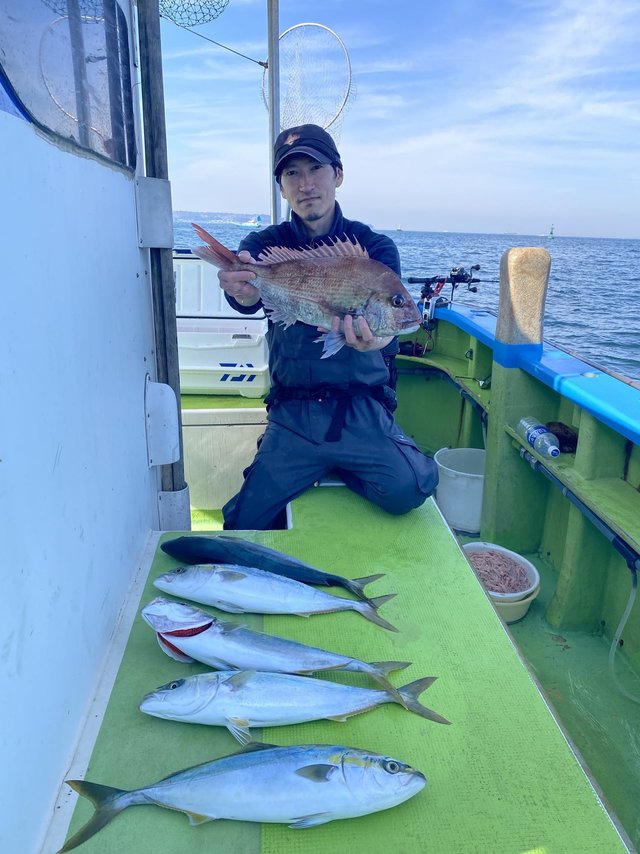 マダイ・イナダ(ブリ)