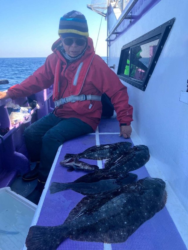 マハタ・ヒラメ