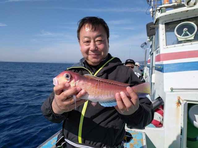 アマダイ(アカアマダイ)