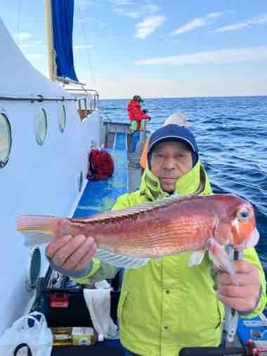 アマダイ(アカアマダイ)