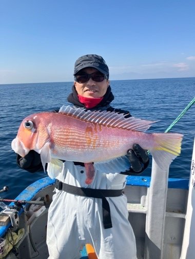 アマダイ(アカアマダイ)