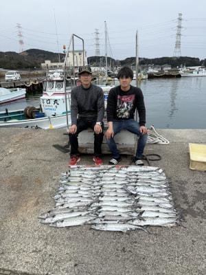 サゴシ(サワラ)