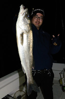 シーバス(スズキ)