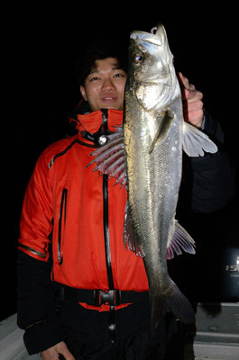 シーバス(スズキ)