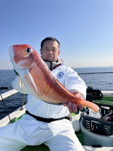 アマダイ(アカアマダイ)