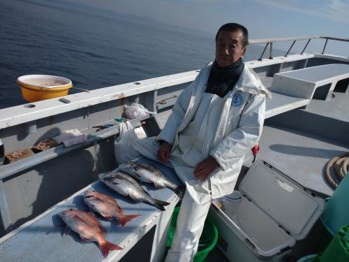 マダイ・クロダイ