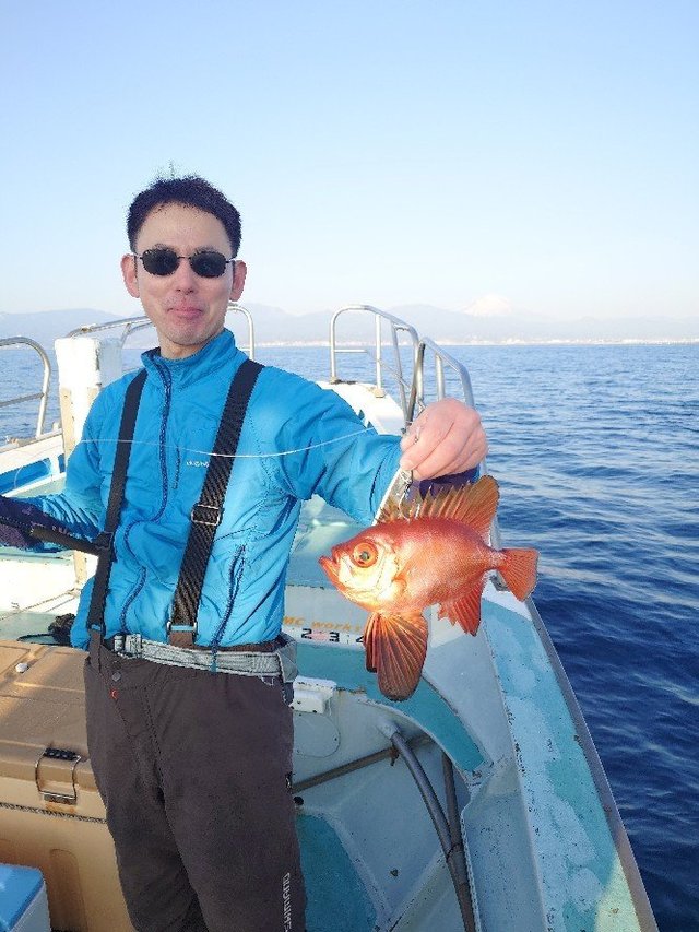 キントキ(チカメキントキ)