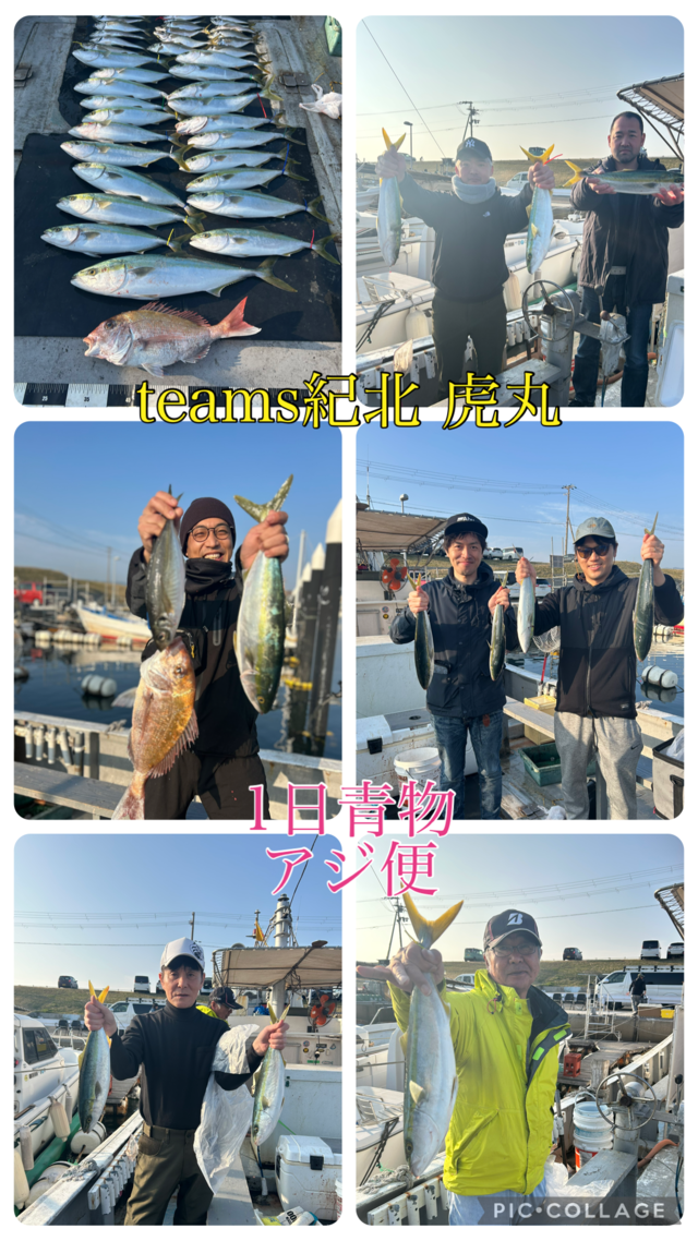 タイ(マダイ)・アジ(マアジ)・ハマチ(ブリ)・メジロ(ブリ)