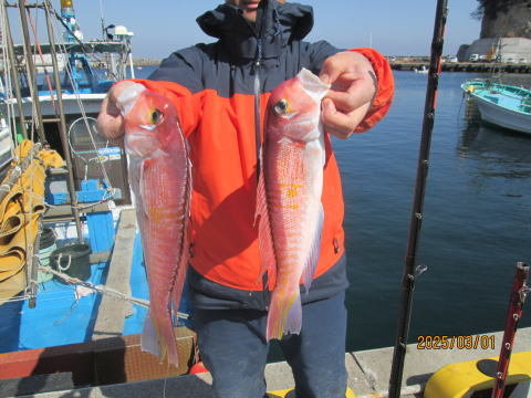 アマダイ(アカアマダイ)