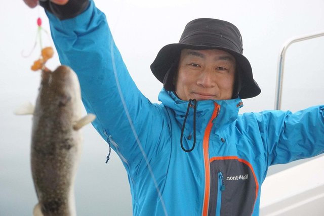 ショウサイフク(ショウサイフグ)