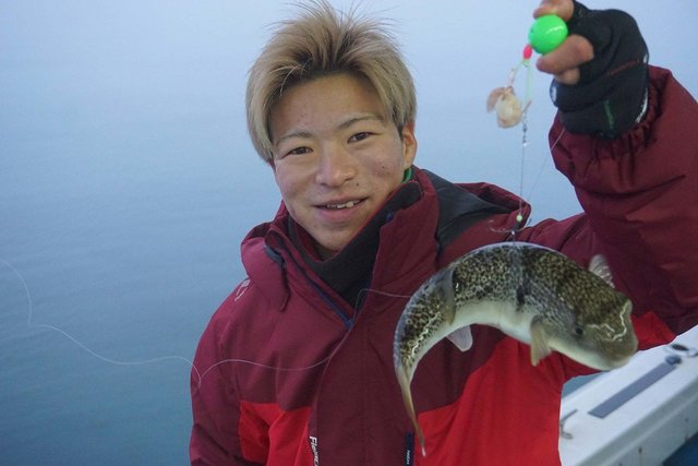 ショウサイフク(ショウサイフグ)