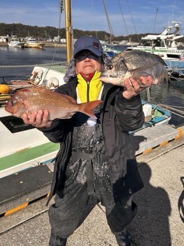 マダイ・クロダイ