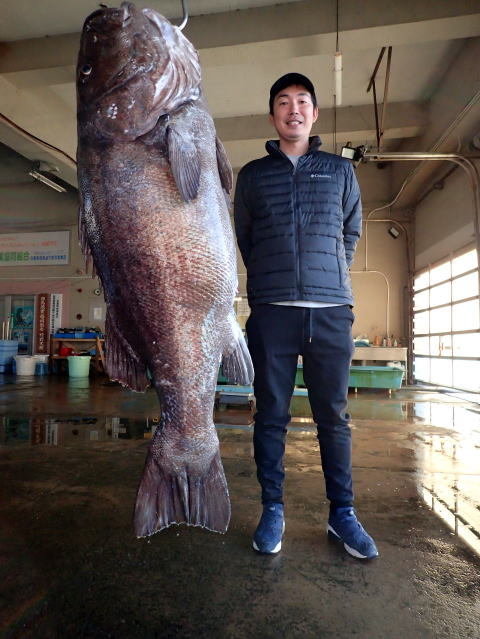 イシナギ(オオクチイシナギ)