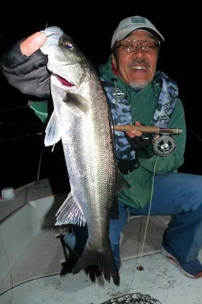 シーバス(スズキ)