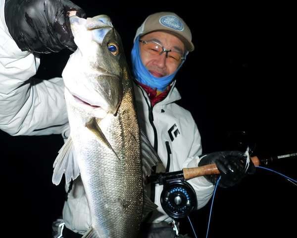 シーバス(スズキ)