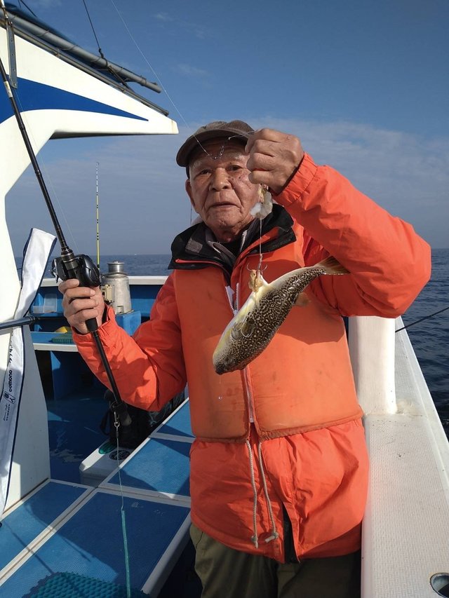 フグ(ショウサイフグ)