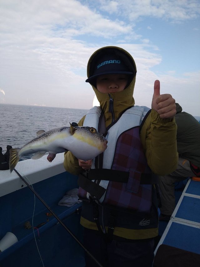 フグ(ショウサイフグ)