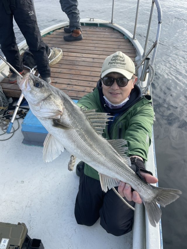 シーバス(スズキ)