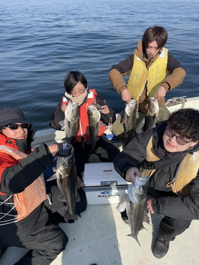 シーバス(スズキ)