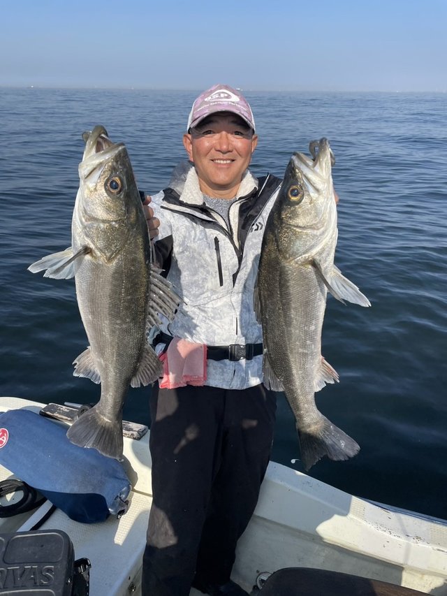 シーバス(スズキ)