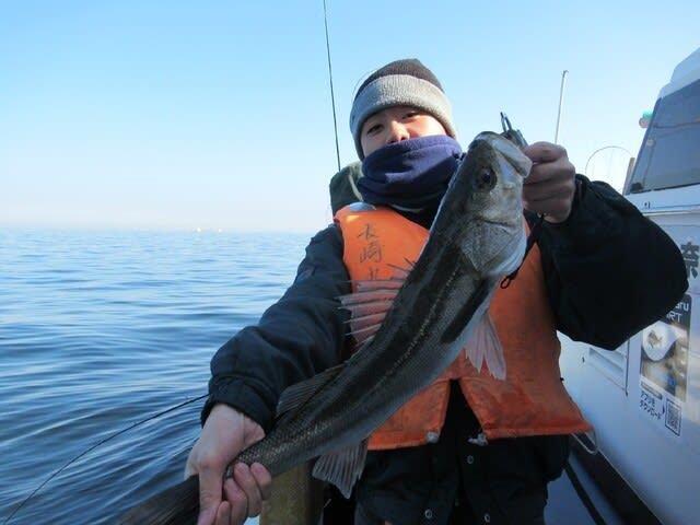 シーバス(スズキ)