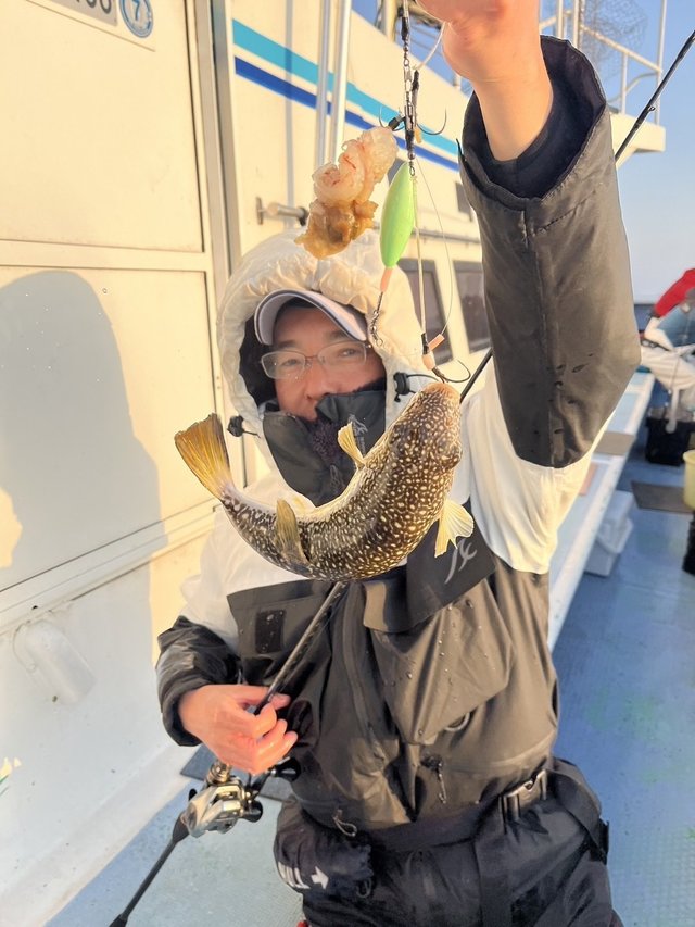 ショウサイフグ