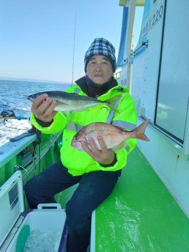 マダイ・イナダ(ブリ)